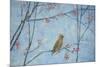 Waxwing, 2013-Ruth Addinall-Mounted Giclee Print