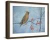 Waxwing (Detail), 2013-Ruth Addinall-Framed Giclee Print