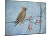 Waxwing (Detail), 2013-Ruth Addinall-Mounted Giclee Print