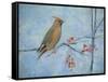 Waxwing (Detail), 2013-Ruth Addinall-Framed Stretched Canvas
