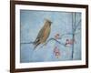 Waxwing (Detail), 2013-Ruth Addinall-Framed Giclee Print