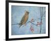 Waxwing (Detail), 2013-Ruth Addinall-Framed Giclee Print