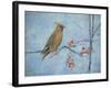 Waxwing (Detail), 2013-Ruth Addinall-Framed Giclee Print