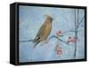 Waxwing (Detail), 2013-Ruth Addinall-Framed Stretched Canvas