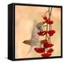 Waxwings-Dmitry Dubikovskiy-Framed Stretched Canvas