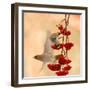 Waxwings-Dmitry Dubikovskiy-Framed Photographic Print