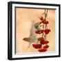 Waxwings-Dmitry Dubikovskiy-Framed Photographic Print