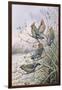 Waxwings-Carl Donner-Framed Giclee Print