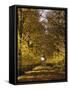 Way, Avenue, Lime-Trees, Autumn-Thonig-Framed Stretched Canvas