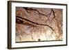 Way Back-Takanobu?Nushi-Framed Photographic Print