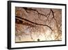 Way Back-Takanobu?Nushi-Framed Photographic Print