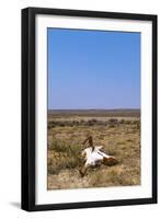 Way Out West-Amanda Lee Smith-Framed Photographic Print