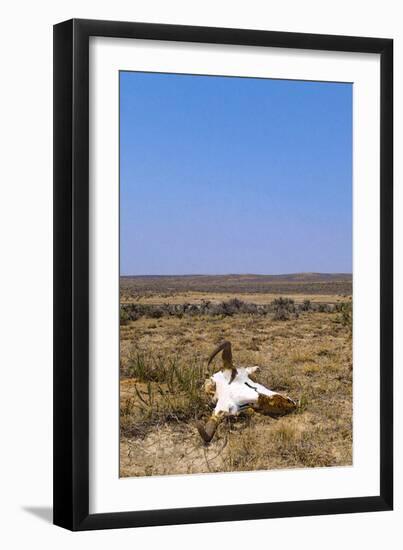 Way Out West-Amanda Lee Smith-Framed Photographic Print