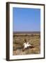 Way Out West-Amanda Lee Smith-Framed Photographic Print