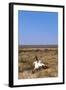 Way Out West-Amanda Lee Smith-Framed Photographic Print