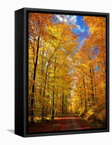 Way to Fall-Philippe Sainte-Laudy-Framed Stretched Canvas
