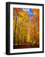 Way to Fall-Philippe Sainte-Laudy-Framed Photographic Print