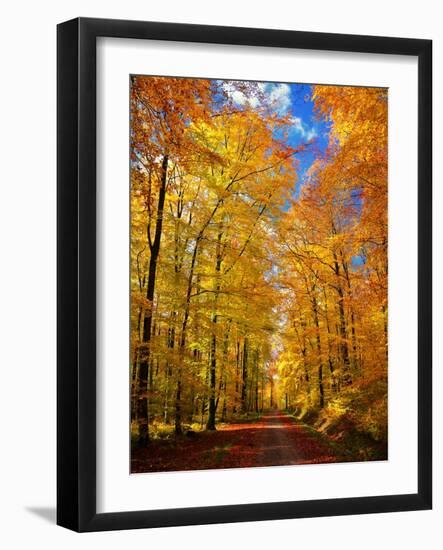 Way to Fall-Philippe Sainte-Laudy-Framed Photographic Print