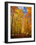 Way to Fall-Philippe Sainte-Laudy-Framed Photographic Print