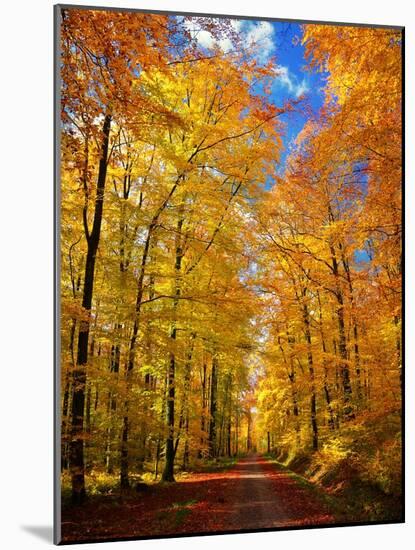 Way to Fall-Philippe Sainte-Laudy-Mounted Photographic Print