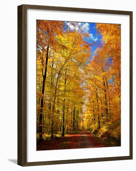 Way to Fall-Philippe Sainte-Laudy-Framed Photographic Print