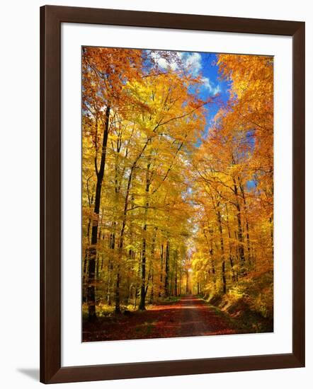 Way to Fall-Philippe Sainte-Laudy-Framed Photographic Print