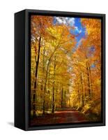 Way to Fall-Philippe Sainte-Laudy-Framed Stretched Canvas