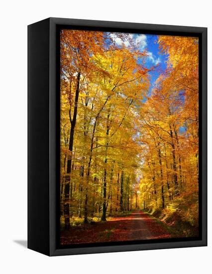 Way to Fall-Philippe Sainte-Laudy-Framed Stretched Canvas