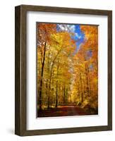 Way to Fall-Philippe Sainte-Laudy-Framed Photographic Print