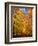 Way to Fall-Philippe Sainte-Laudy-Framed Photographic Print