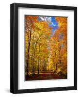 Way to Fall-Philippe Sainte-Laudy-Framed Photographic Print