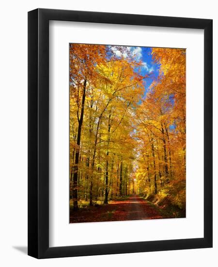 Way to Fall-Philippe Sainte-Laudy-Framed Photographic Print