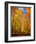 Way to Fall-Philippe Sainte-Laudy-Framed Photographic Print