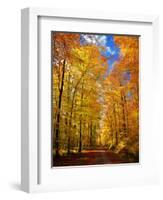 Way to Fall-Philippe Sainte-Laudy-Framed Photographic Print