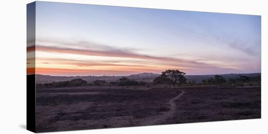 way to the arbor vitae on large field, lonely, alone, Nigeria, Africa, evening mood, sky, sundown-Peter Kreil-Stretched Canvas