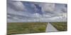 Way to the Lighthouse of Westerhever (Municipality), Schleswig-Holstein, Germany-Rainer Mirau-Mounted Photographic Print