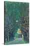 Way To The Park-Gustav Klimt-Stretched Canvas