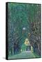 Way to the Park-Gustav Klimt-Framed Stretched Canvas