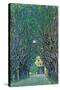 Way to the Park-Gustav Klimt-Stretched Canvas