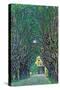 Way To The Park-Gustav Klimt-Stretched Canvas