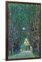 Way To The Park-Gustav Klimt-Framed Art Print