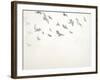 Way Up and Away I-Sydney Edmunds-Framed Giclee Print