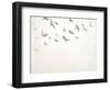 Way Up and Away I-Sydney Edmunds-Framed Giclee Print