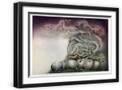 Black Frame