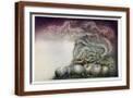 Brown Frame