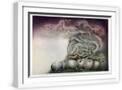 White Frame