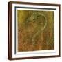 Brown Frame