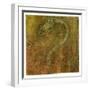 White Frame
