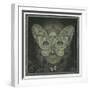 White Frame