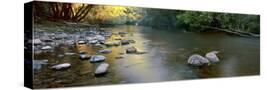 Stretched Canvas